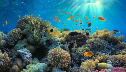 &laquo;Порог необратимых изменений пройден&raquo;. Ученые предупредили о начале масштабной климатической катастрофы