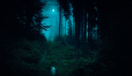 Названа новая версия таинственной пропажи семьи Усольцевых в тайге