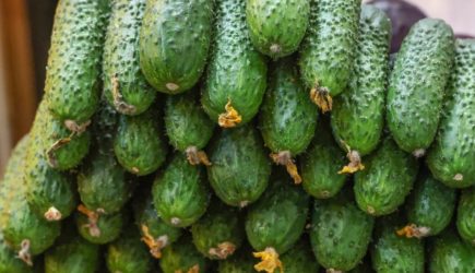 &#171;Очищает сосуды и кровь&#187;: Какие пять продуктов должны быть на столе, объяснил врач