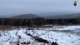 Раскрыта главная версия пропажи Усольцевых в российской тайге