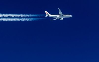 Смертельный рейс из Калининграда: что уже известно о трагедии