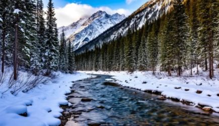 Усольцевы живы: Сын &#171;уверен на 100%&#187;. И вот почему