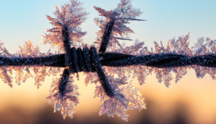 Аномальный мороз 1978 года. Самая холодная зима?