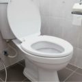 Почему опасно оставлять унитаз открытым &mdash; запомните на всю жизнь