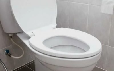 Почему опасно оставлять унитаз открытым &mdash; запомните на всю жизнь