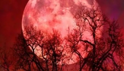 Синоптики предупредили: 25-26 ноября случится страшное