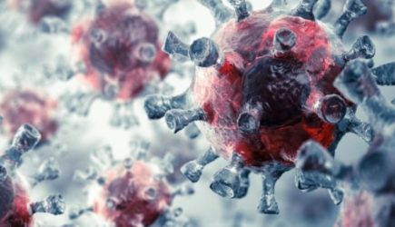 Вирусолог опроверг искусственное происхождение коронавируса