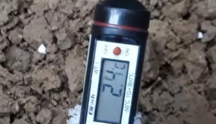 Что можно посадить в саду в декабре?