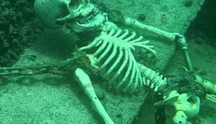 Находка в Азовском море заставила ученых орать от ужаса