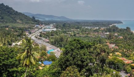 Российских туристов покусали огненные муравьи на курорте Тайланда