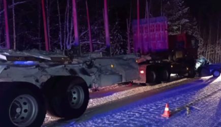 Жуткое ДТП с лесовозом унесло жизни супругов-пенсионеров