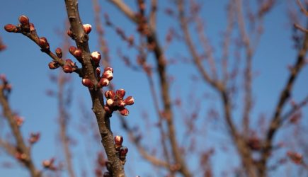 Стало известно об угрожающей россиянам погодной опасности