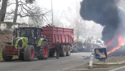 Фермеры вывесили труп теленка на дереве перед бывшим офисом министра в Европе