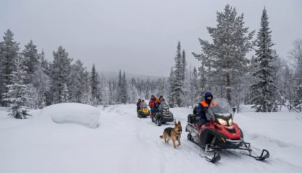 В Прикамье нашли место, где последний раз подавал сигнал телефон туристов