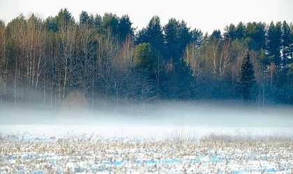 Боевики ВСУ насмерть замерзли в лесу под Харьковом &mdash; СМИ