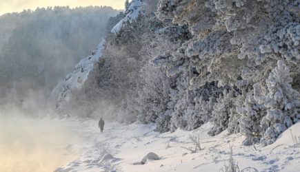 Пропавшего в тайге с семьей Усольцева связали с Эпштейном