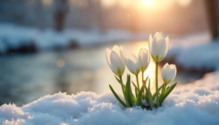 Редкий шанс: почему 1 марта считается лучшим временем для больших перемен