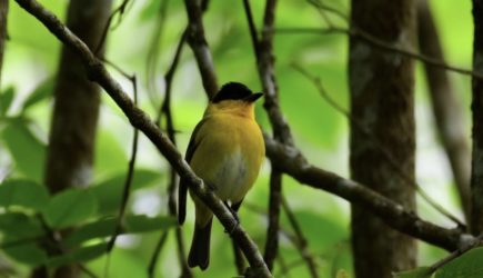 «Черное под запретом»: почему темная одежда может разрушить ваше будущее