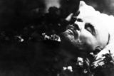 В мозге Ленина сифилис не нашли. Спор о причине его смерти разгорелся с новой силой