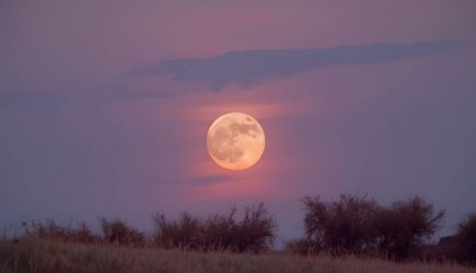 Россияне смогут увидеть необычное явление