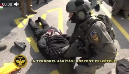 У&nbsp;Зеленского горе: В&nbsp;задержанных в&nbsp;Венгрии инкассаторских машинах был еще один груз