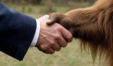 Названы знаки зодиака, которые в мае заключат выгодные сделки с самим «дьяволом»