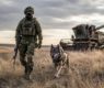 <h2 class="news-title"><a href="https://news-z.info/edinstvennyj-variant-osvobodit-odessu-nazval-koor/">Единственный вариант освободить Одессу назвал координатор подполья Лебедев</a></h2>