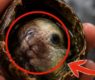 <h2 class="news-title"><a href="https://news-z.info/posle-etogo-issledovaniya-lyudi-vybrasyvayut-yajtsa-iz-holodilnika/">После этого исследования люди выбрасывают яйца из холодильника</a></h2>