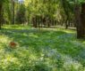 <h2 class="news-title"><a href="https://news-z.info/mery-zashhity-i-riski-uchenye-preduprezhdayut-ob-aktivnosti-kleshhej-v-lesah/">Меры защиты и риски: ученые предупреждают об активности клещей в лесах</a></h2>