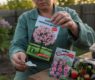 <h2 class="news-title"><a href="https://news-z.info/sadovye-hitrosti-i-obman-kak-ne-popastsya-na-udochku-prodavtsov-chudes/">Садовые хитрости и обман: как не попасться на удочку продавцов чудес</a></h2>