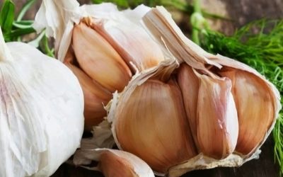 Чеснок оказался мощным оружием на даче: вот как применяют
