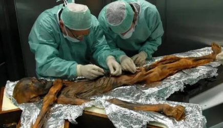 Хлеб из останков древнего человека: ученые попробовали выпечку из мумии