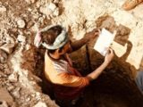 В Подмосковье обнаружили останки морских обитателей возрастом 315 млн лет