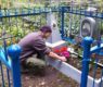 <h2 class="news-title"><a href="https://news-z.info/chto-nelzya-delat-na-kladbishhe-greh-kotoryj-ne-proshhaetsya/">Что нельзя делать на кладбище — грех, который не прощается</a></h2>