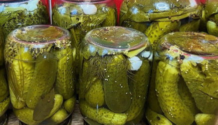 Ничего вкуснее этих соленых огурцов я еще не ела: запоминайте рецепт