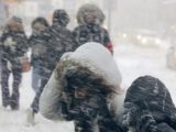 Аномальное похолодание в Приморье: как подготовиться к ранним заморозкам