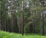 <h2 class="news-title"><a href="https://news-z.info/raskryty-detali-ob-aktivnosti-nomera-telefona-bessledno-ischeznuvshego-usoltseva/">Раскрыты детали об активности номера телефона бесследно исчезнувшего Усольцева</a></h2>