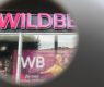 <h2 class="news-title"><a href="https://news-z.info/wildberries-priostanovil-rabotu-dvuh-kompleksov-v-peterburge/">Wildberries приостановил работу двух комплексов в Петербурге</a></h2>