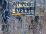 Нимфы иксодовых клещей: как распознать невидимую угрозу здоровью