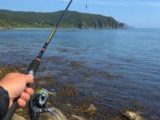 Необычный улов в Приморье: редкие виды рыб начали мигрировать на север