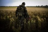 Российское &laquo;Поле-31&raquo; начало противодействие врагу в&nbsp;зоне СВО