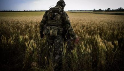 Российское &laquo;Поле-31&raquo; начало противодействие врагу в&nbsp;зоне СВО