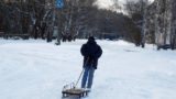 Россиян предупредили об аномально теплой зиме