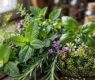 <h2 class="news-title"><a href="https://news-z.info/allergolog-predupredil-ob-opasnosti-travyanyh-otvarov-dlya-detej-pri-orvi/">Аллерголог предупредил об опасности травяных отваров для детей при ОРВИ</a></h2>